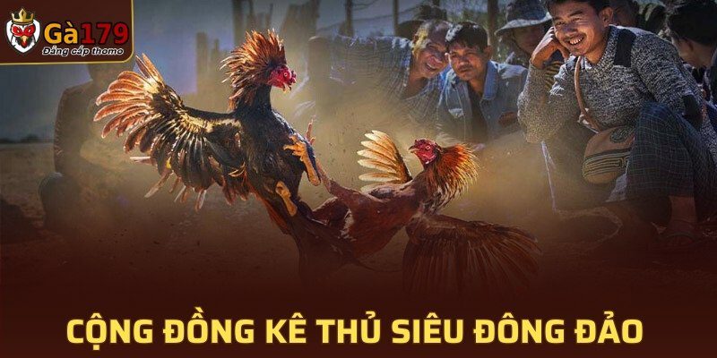 Cộng đồng kê thủ siêu đông đảo