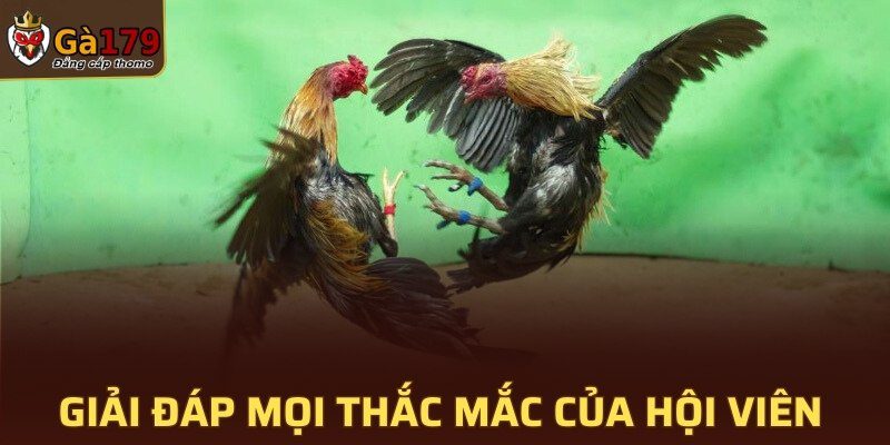 Giải đáp mọi thắc mắc của hội viên