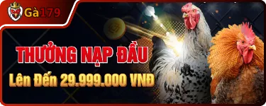 Banner Khuyến Mãi GA179